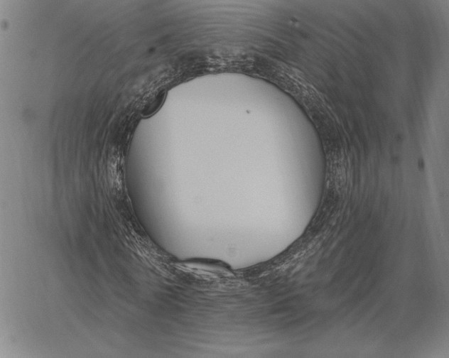 X0000067330770200604131700