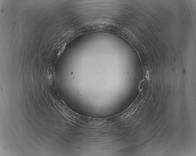 X0000067330771200604131700