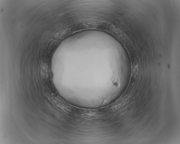 X0000067330772200604131700