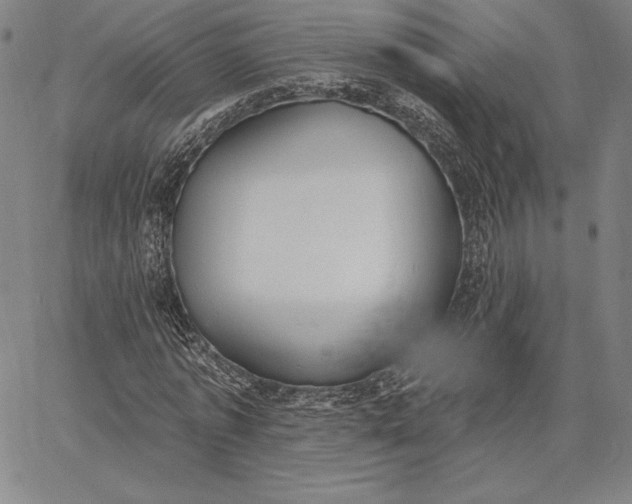 X0000067330773200604131700