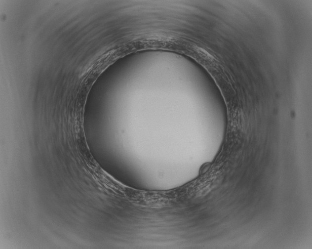 X0000067330774200604131659