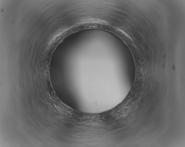 X0000067330775200604131659