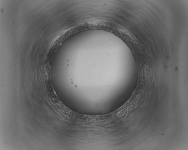 X0000067330776200604131659