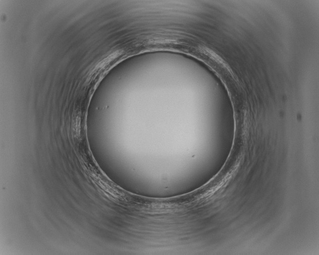 X0000067330777200604131659