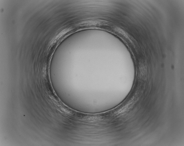 X0000067330778200604131659