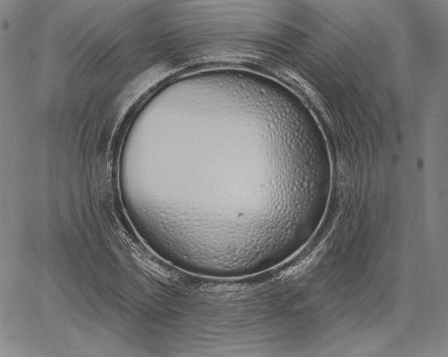 X0000067330779200604131659