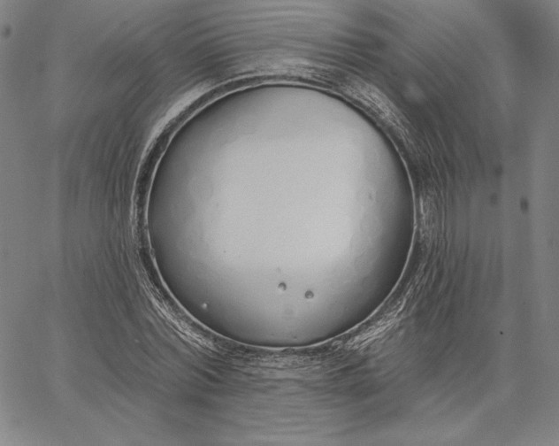 X0000067330780200604131659