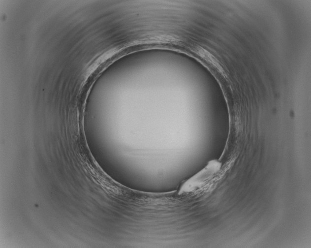 X0000067330781200604131659