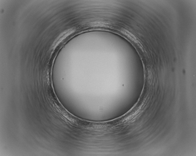 X0000067330782200604131659