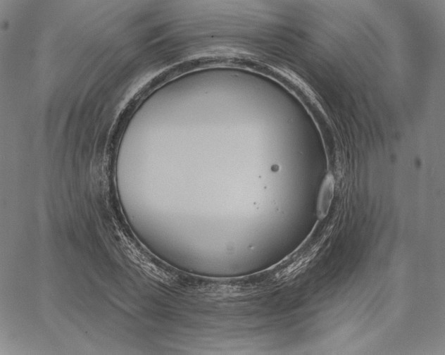 X0000067330783200604131659