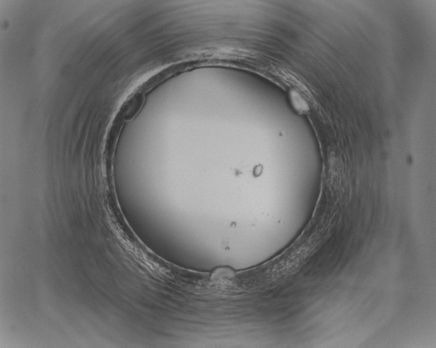 X0000067330784200604131659