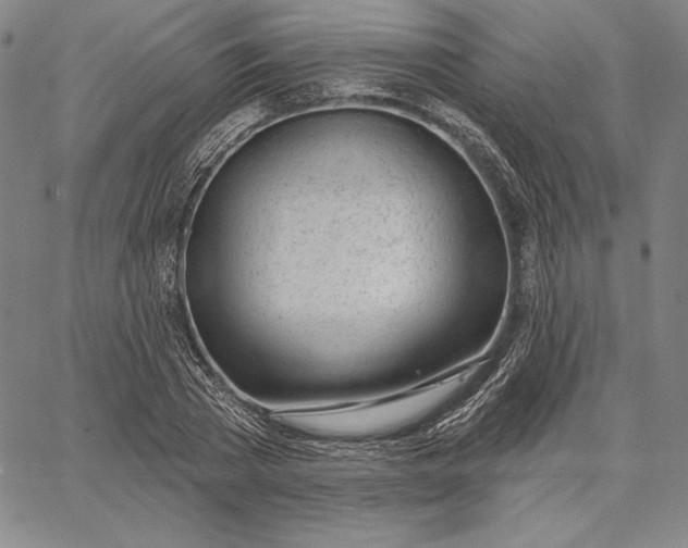 X0000067330785200604131659