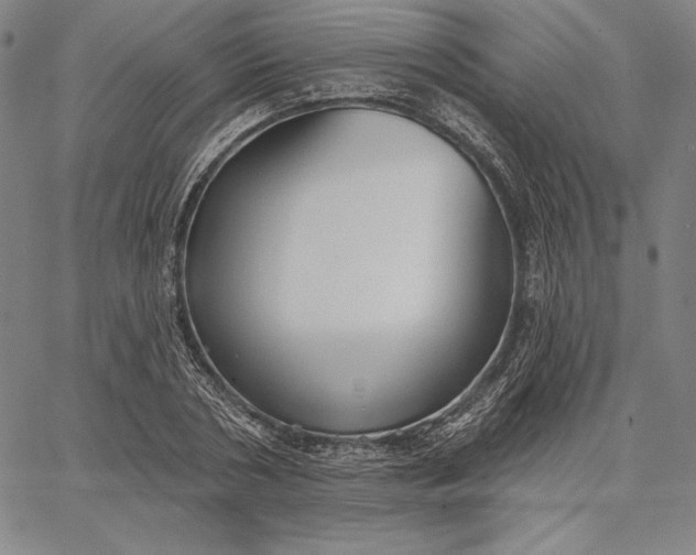 X0000067330786200604131659