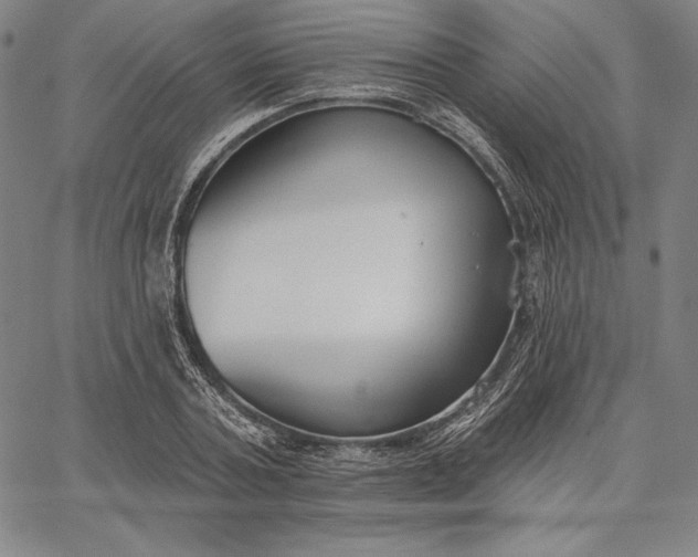 X0000067330787200604131659