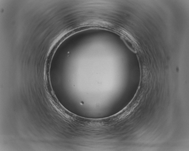 X0000067330788200604131659