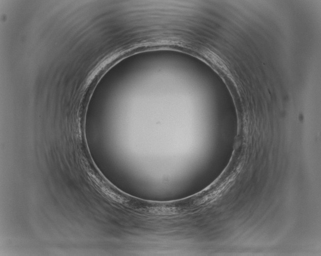 X0000067330789200604131659