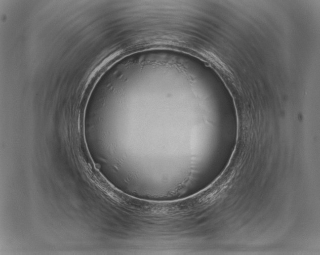 X0000067330790200604131659