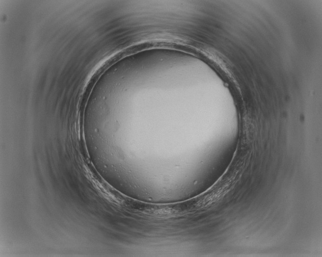 X0000067330791200604131659