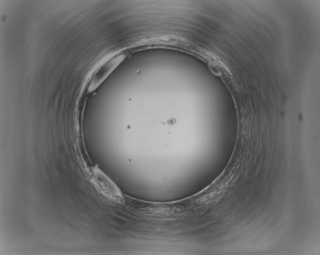 X0000067330792200604131659