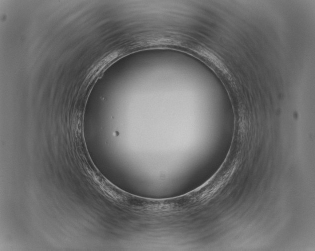 X0000067330793200604131659