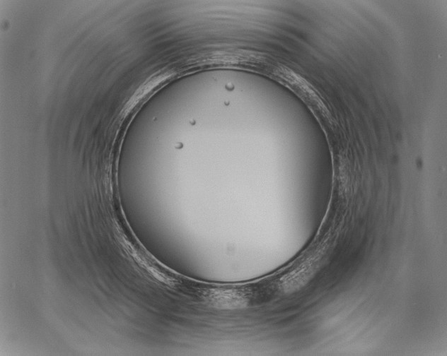 X0000067330794200604131659