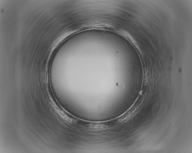 X0000067330795200604131659