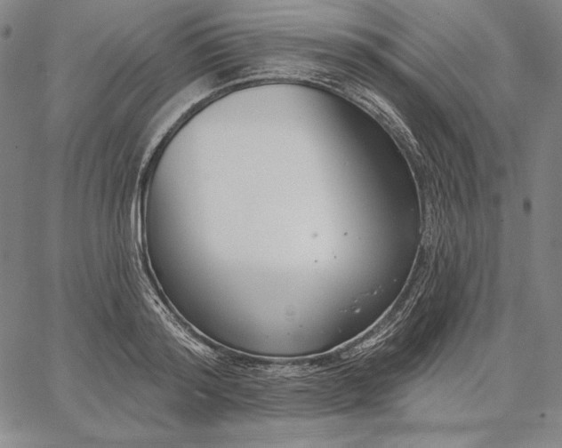 X0000067330796200604131659