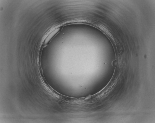 X0000067330797200604131659