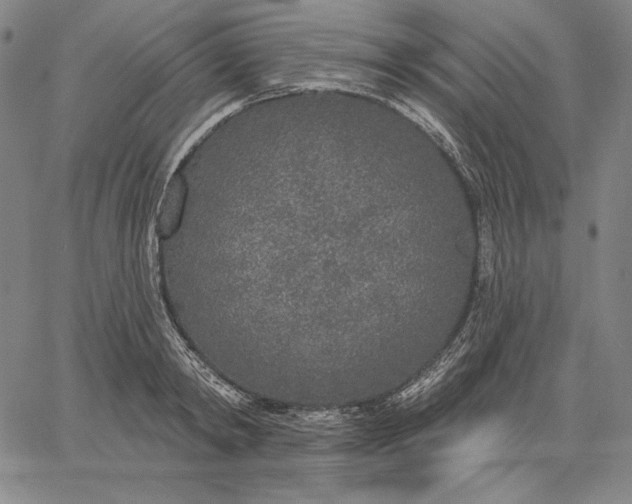 X0000067330798200604131659