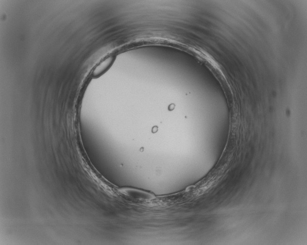 X0000067330799200604131659