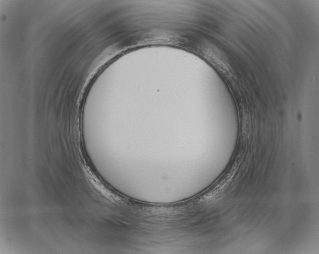 X0000067330800200604131659