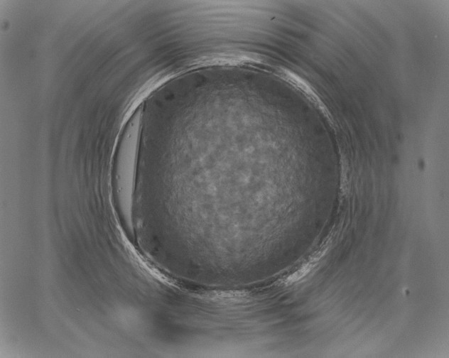 X0000067330802200604131659