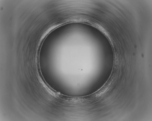 X0000067330803200604131659