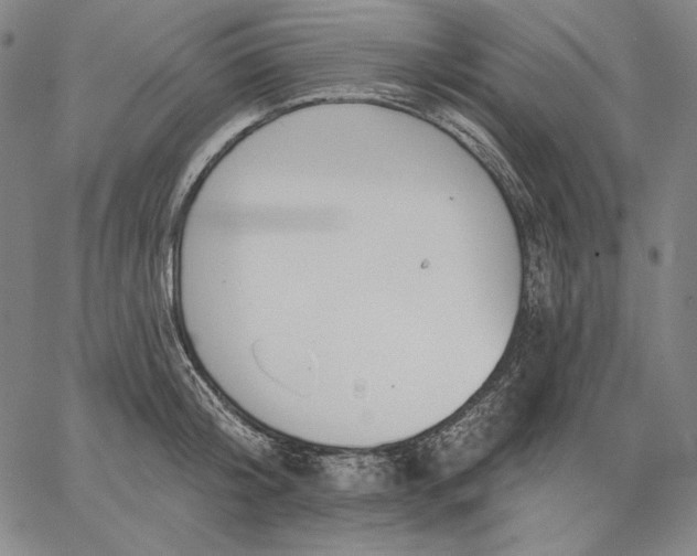 X0000067330804200604131659