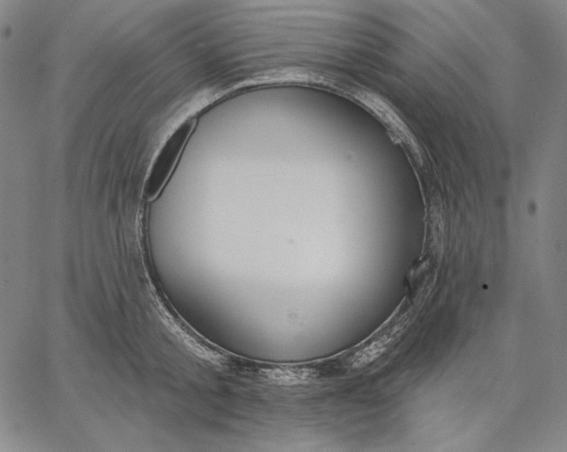 X0000067330805200604131659