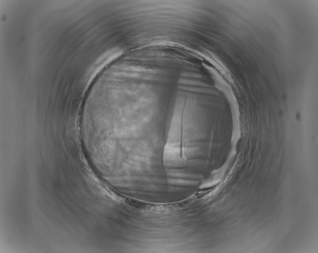 X0000067330806200604131659