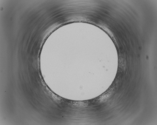 X0000067330807200604131659