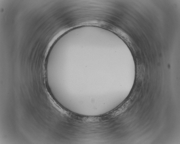 X0000067330808200604131659