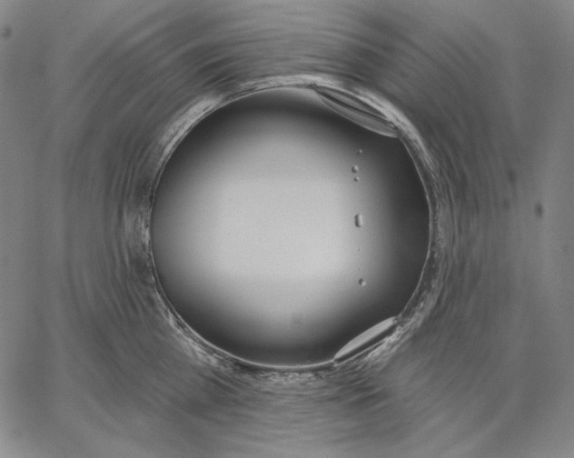 X0000067330809200604131659