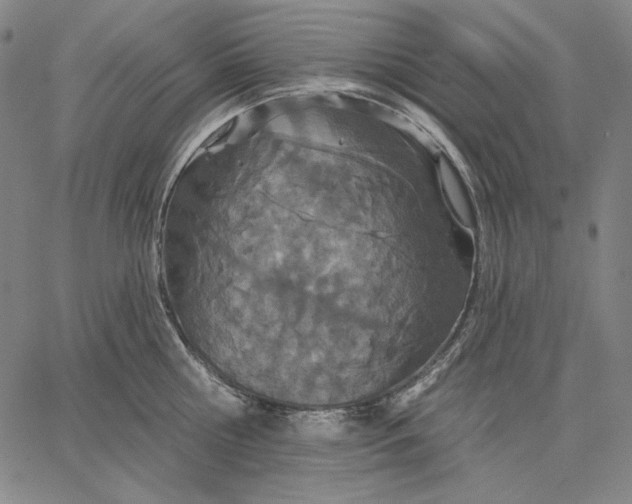 X0000067330810200604131659