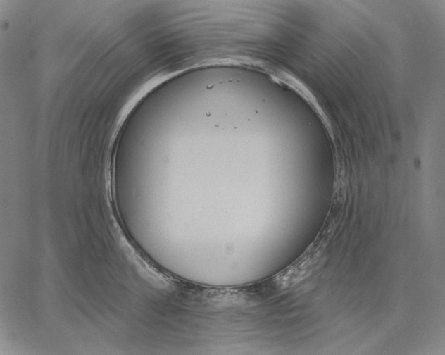 X0000067330811200604131659