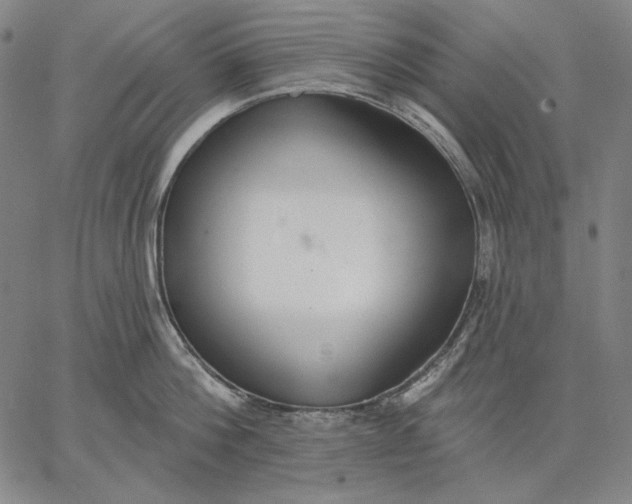 X0000067330812200604131659