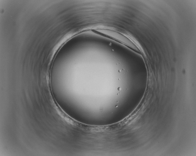 X0000067330813200604131659