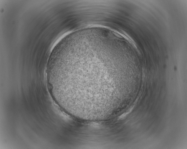 X0000067330814200604131659