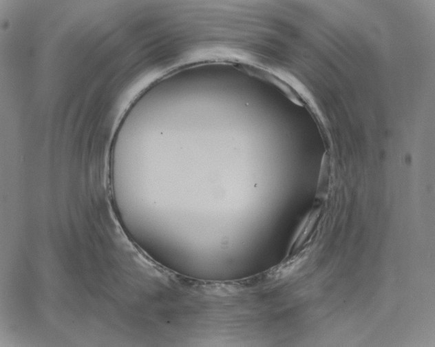 X0000067330815200604131659