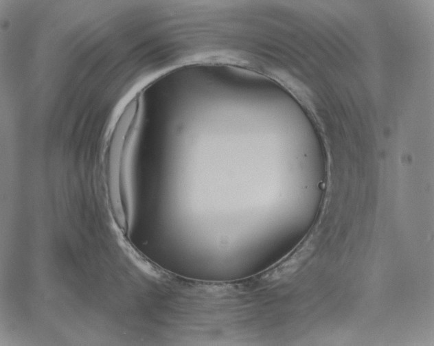 X0000067330816200604131659