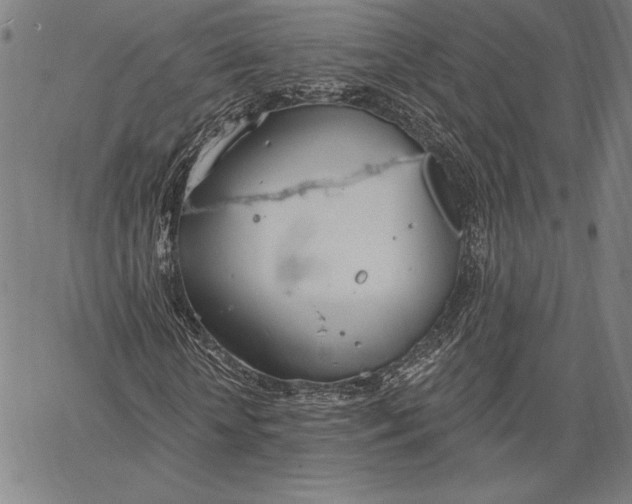 X0000067330818200604131658