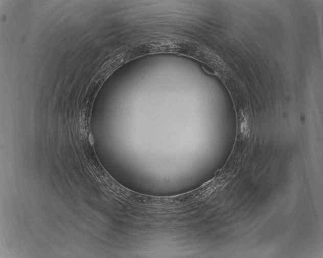 X0000067330819200604131658