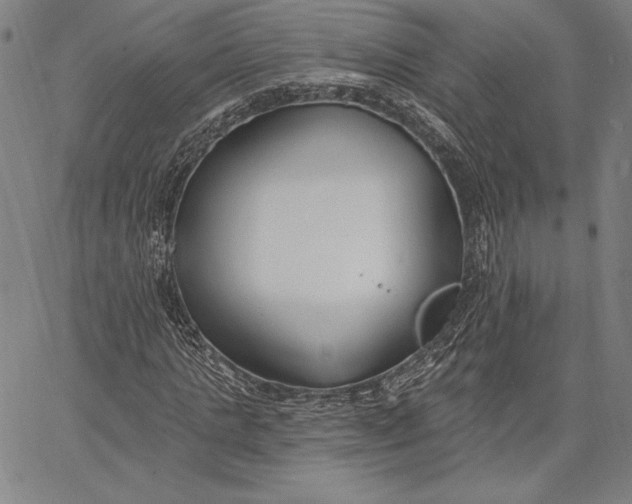 X0000067330821200604131658