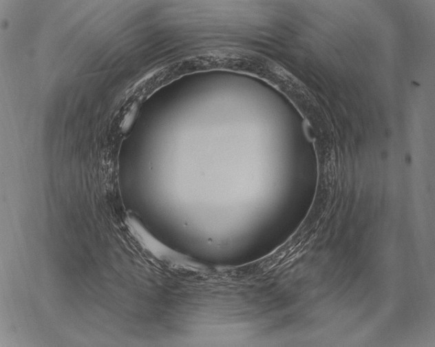 X0000067330822200604131658